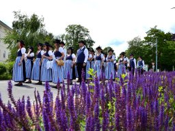 zeltfestmv60jahre_19
